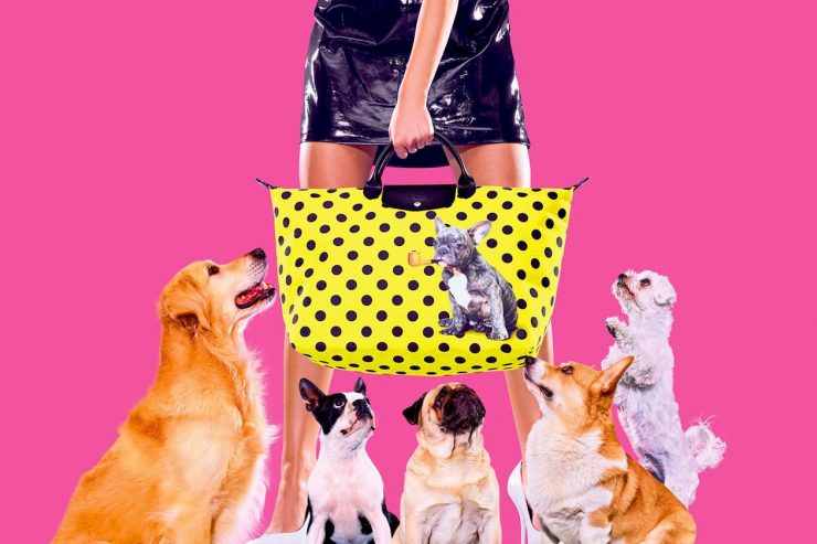 Louis Vuitton Pour Chiens 2023